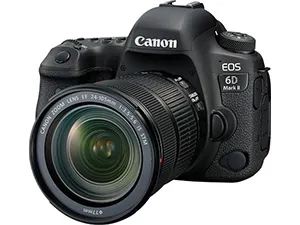 EOS6D Mark II + ZOOM LENS EF 24-70mm F4 L IS USM
