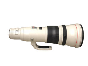 Canon EF 800mm F5.6 L IS USM キヤノン