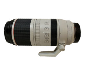 Canon RF100-500mm F4.5-7.1 L IS USM